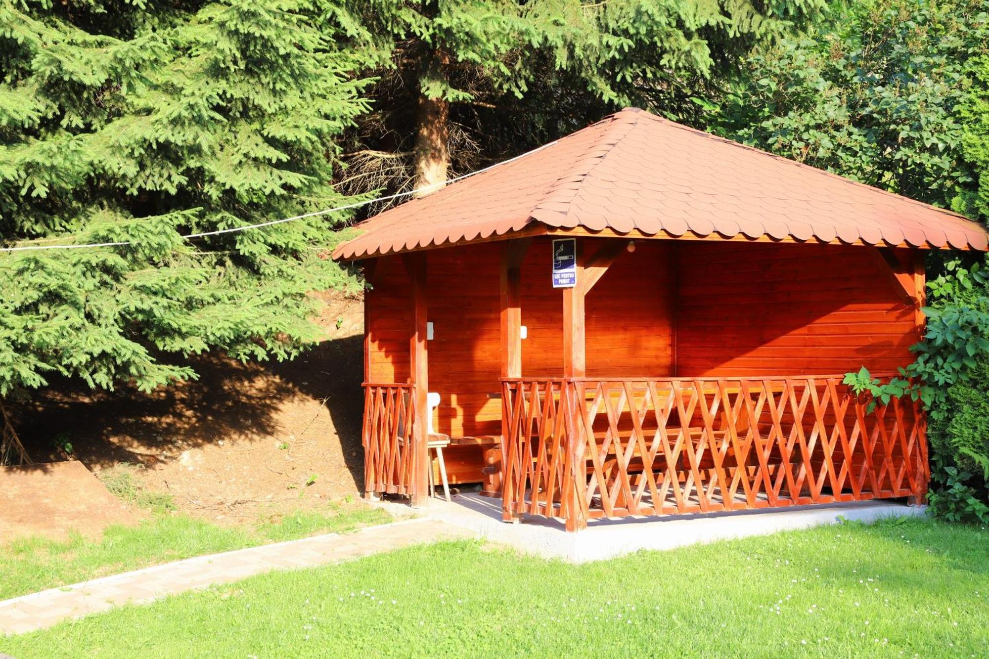 Pensiunea Dealul Frumos Bran  Exterior foto